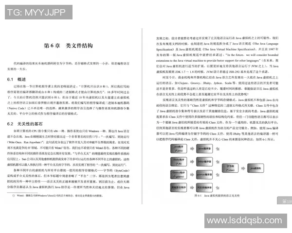 吴军深度解析足球战术与技巧分享独家心得与经验之谈