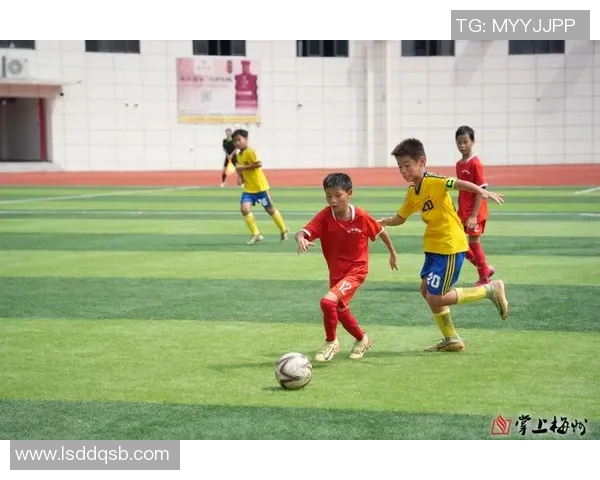 国家培养的足球明星如何影响青少年体育发展与国家形象提升