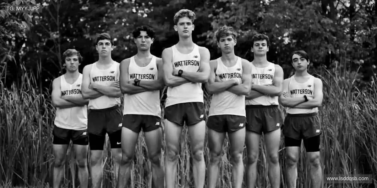 🎯精准定制，专属你的运动装备库！🔧